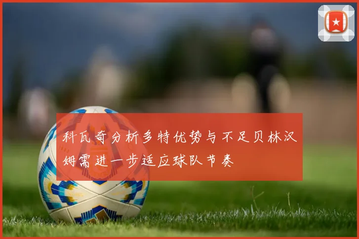 科瓦奇分析多特优势与不足贝林汉姆需进一步适应球队节奏
