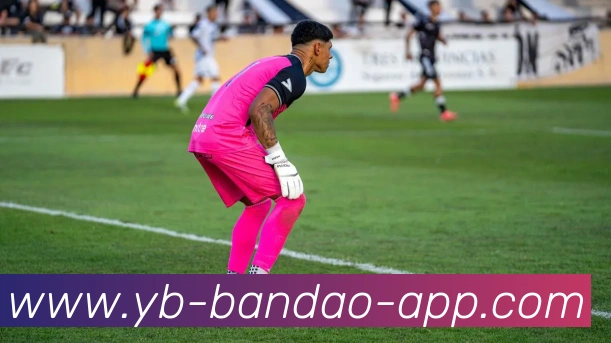 半岛体育发展历程